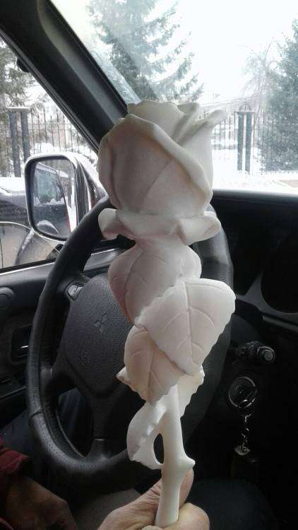 post-2027-0-25207600-1459529094_thumb.jp