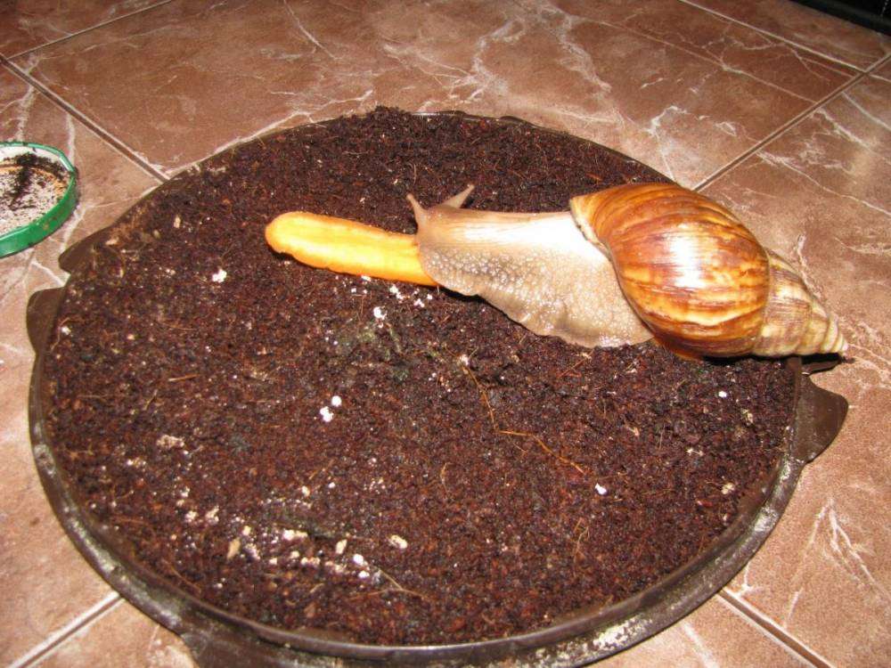 post-3969-0-59837800-1399985826_thumb.jp