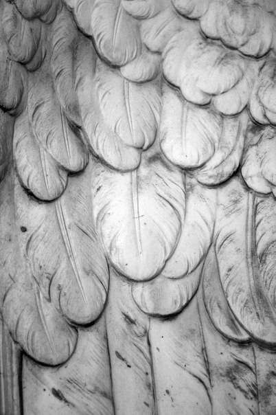 post-10809-0-32933100-1430905372_thumb.j