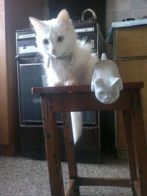 post-5914-0-55597800-1431981042_thumb.jp