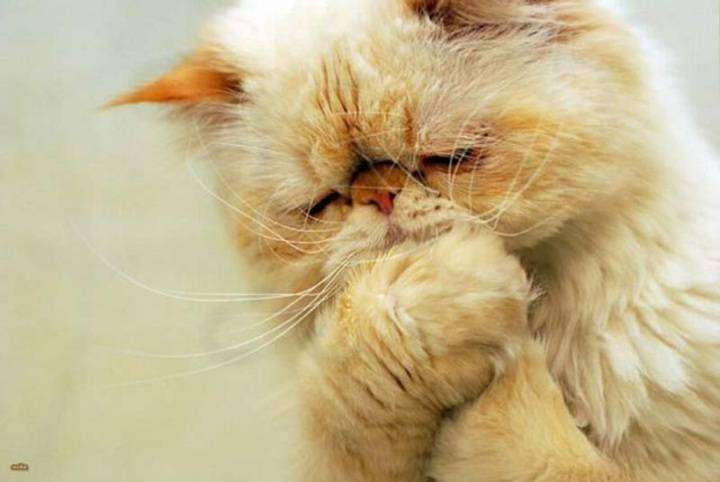 post-6031-0-21119400-1401818960_thumb.jp