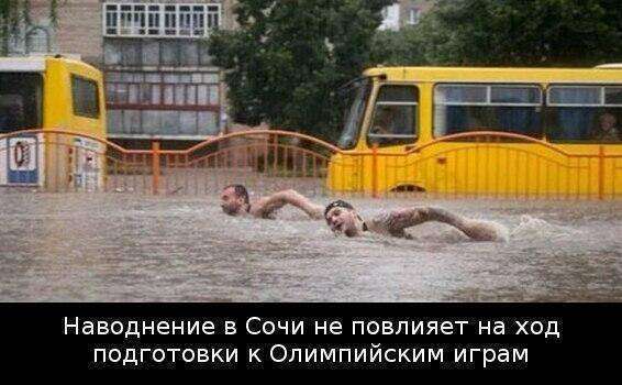 post-10535-0-64825900-1435434324_thumb.j