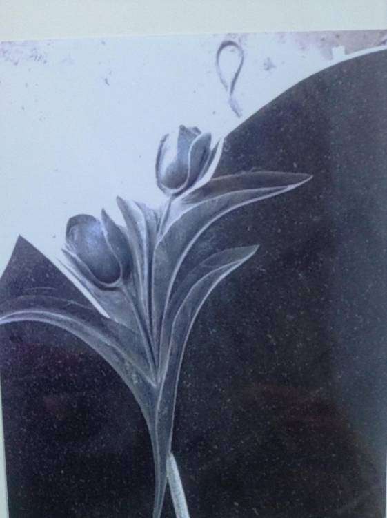 post-9695-0-40248800-1373478046_thumb.jp