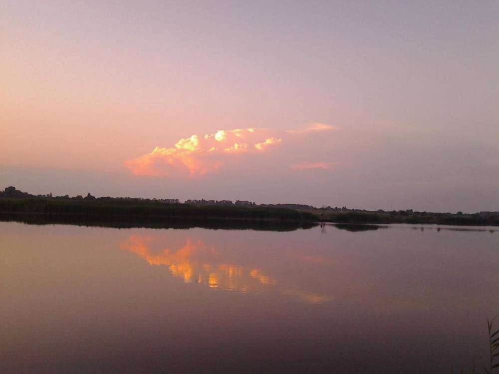 post-1229-0-00230200-1376247978_thumb.jp