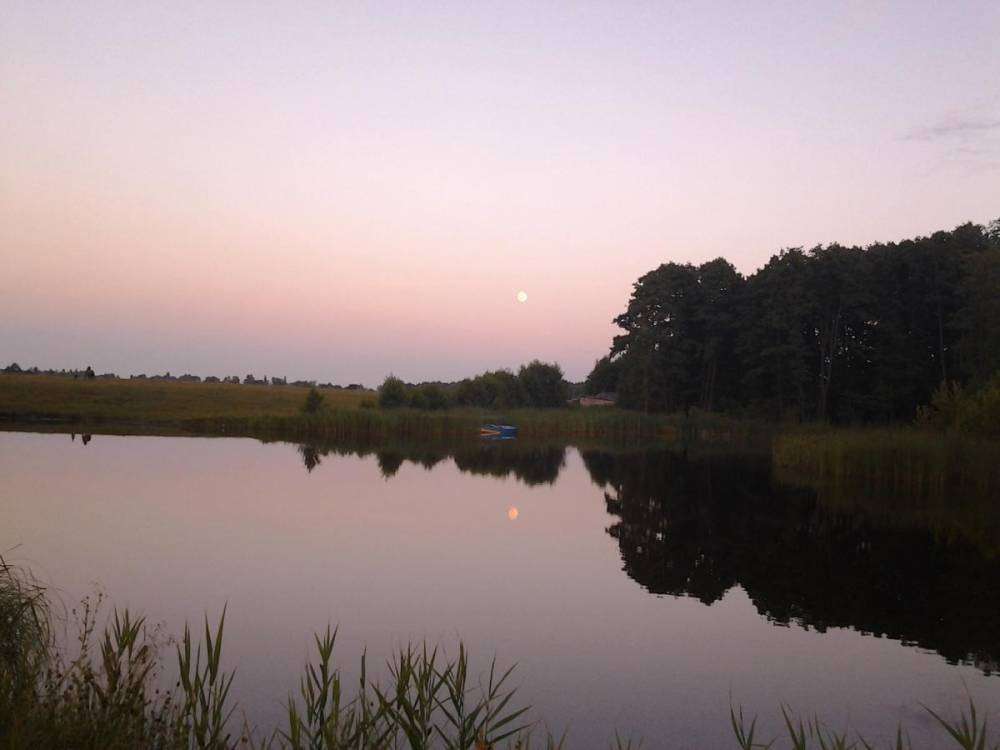 post-1229-0-74459300-1376247777_thumb.jp