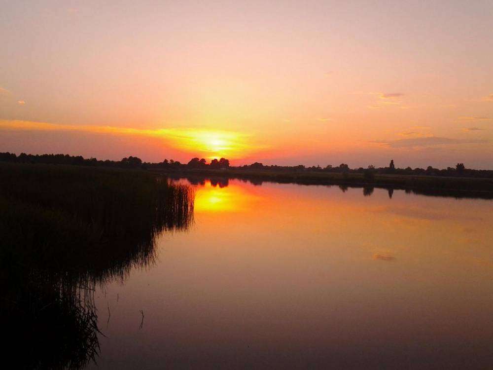 post-1229-0-95713200-1376247907_thumb.jp