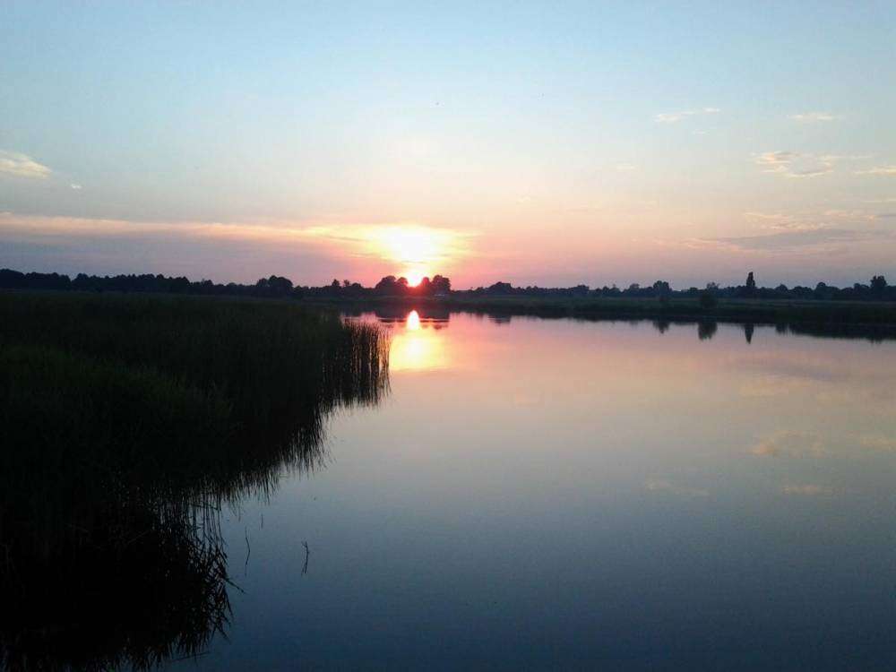 post-1229-0-98078200-1376247744_thumb.jp