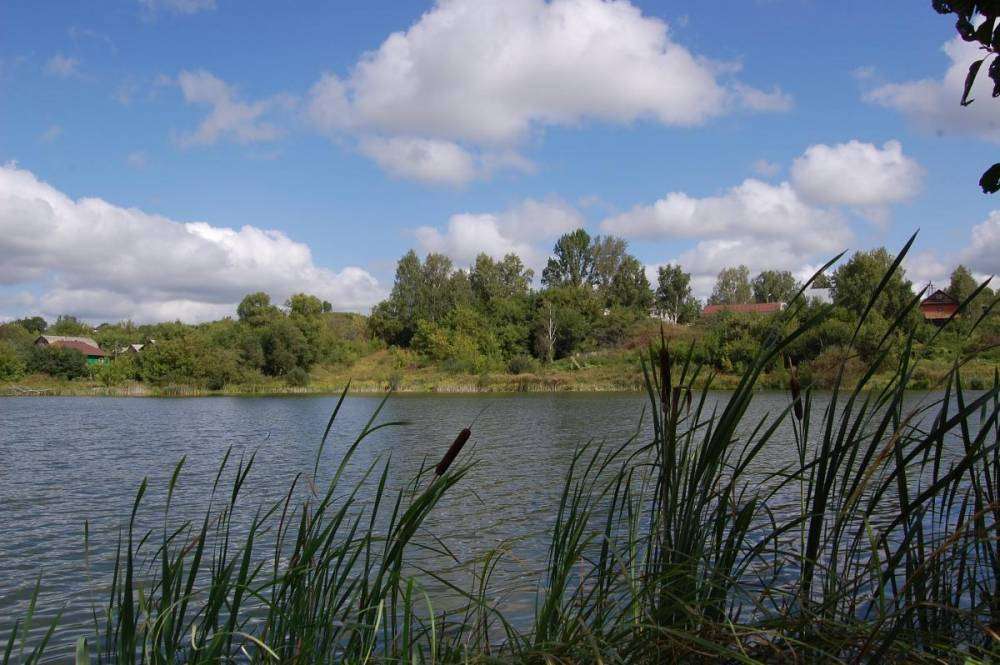 post-1175-0-09665700-1408529701_thumb.jp