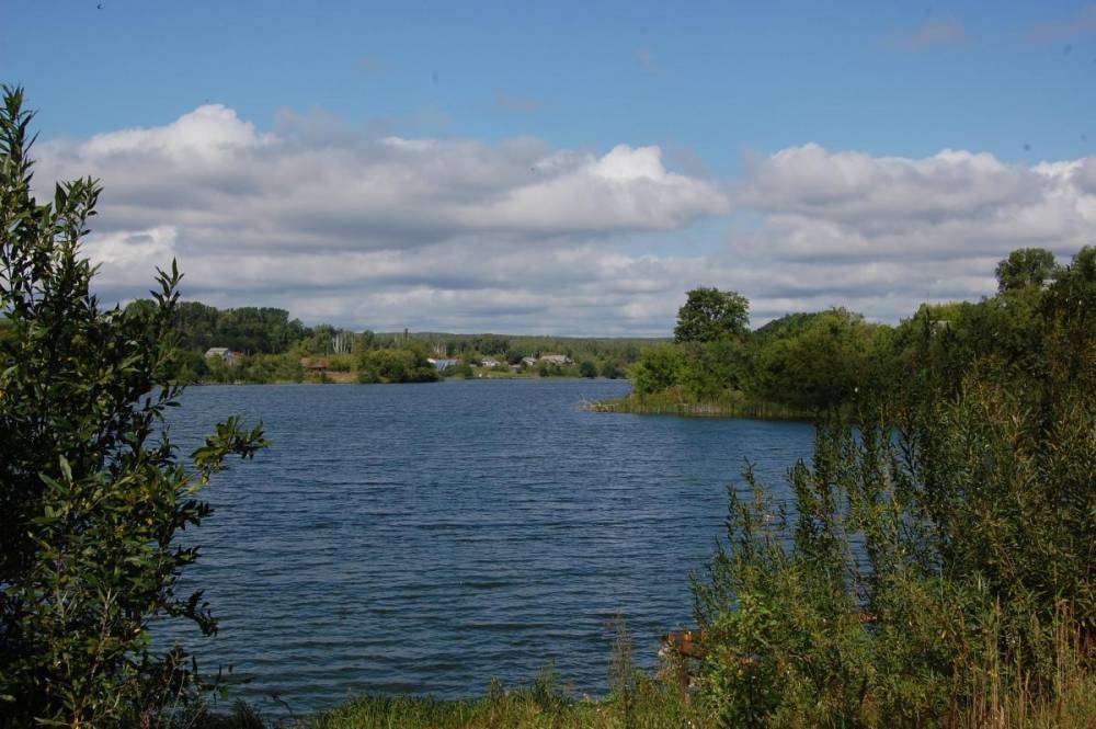 post-1175-0-50117100-1408529661_thumb.jp