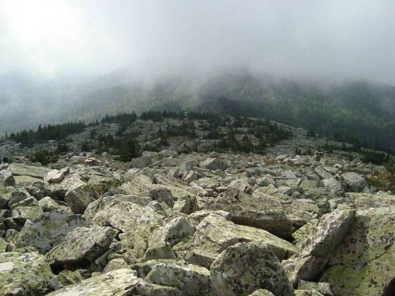 post-3317-0-61444300-1409075971_thumb.jp