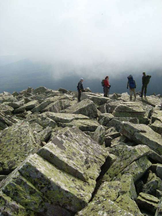 post-3317-0-70695600-1409075979_thumb.jp