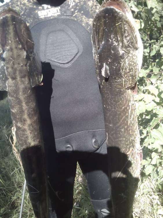 post-10120-0-11908100-1440485398_thumb.j