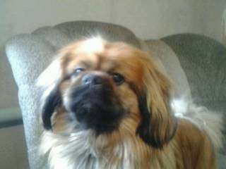 post-7452-0-16220100-1348983710_thumb.jp