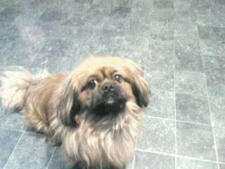 post-7452-0-97630500-1348983728_thumb.jp