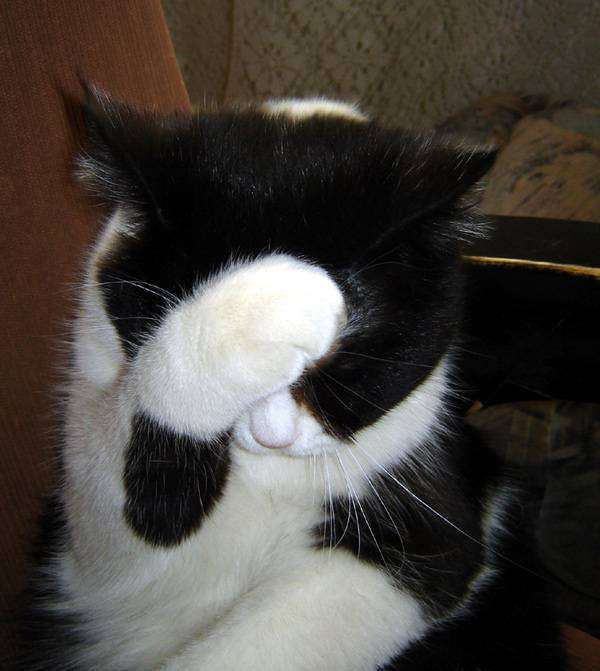 post-6864-0-34695600-1379522147_thumb.jp