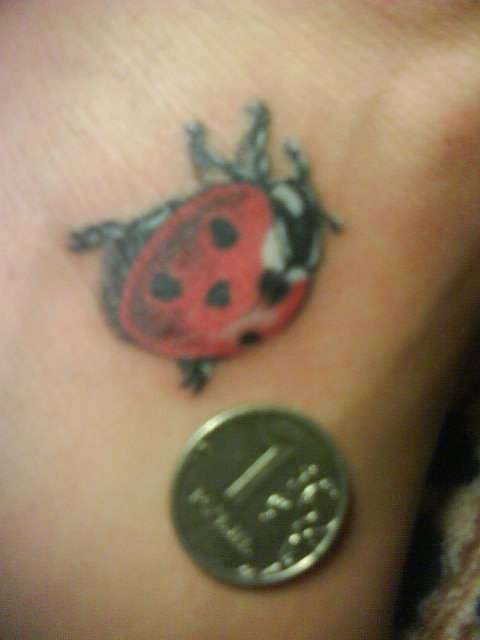 post-6489-0-32246100-1441905287_thumb.jp