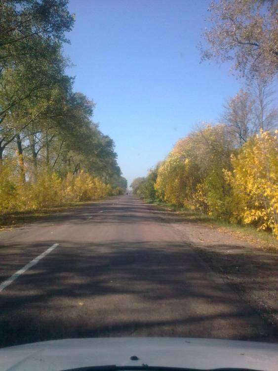 post-1229-0-28528500-1349263694_thumb.jp