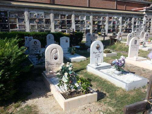 post-1278-0-50490700-1380875545_thumb.jp