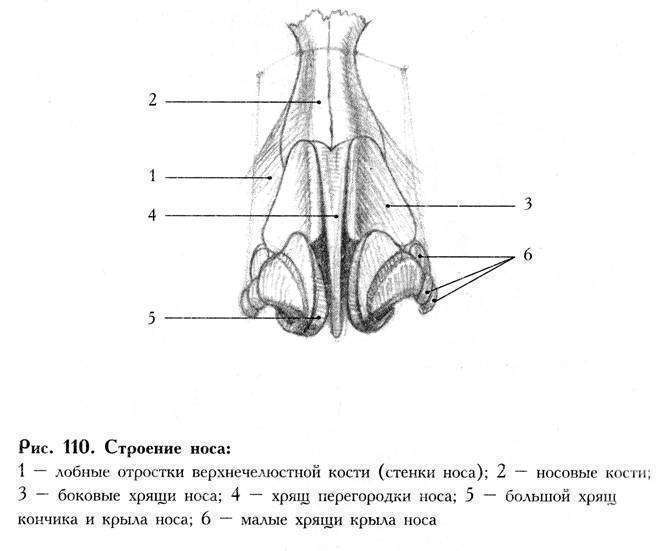 post-10612-0-36637400-1412477977_thumb.j