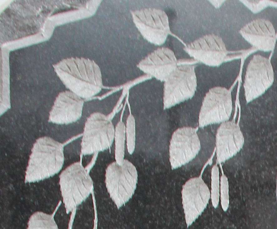 post-3317-0-38477600-1414173332_thumb.jp