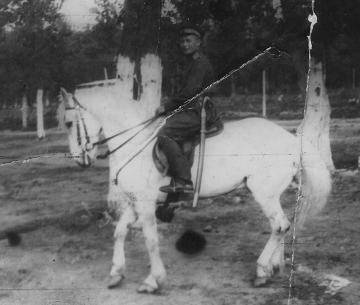 post-7859-0-55169600-1414657395_thumb.pn