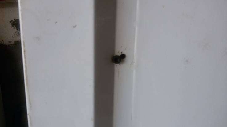 post-10673-0-64108200-1444230833_thumb.j