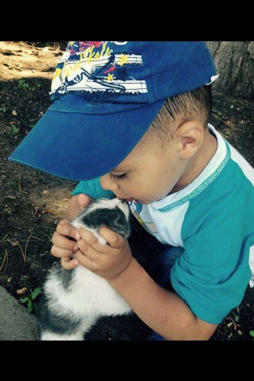 post-12738-0-21939700-1445318913_thumb.j