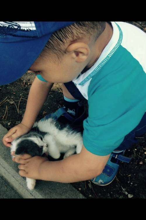 post-12738-0-39708400-1445318890_thumb.j