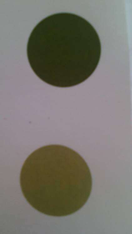 post-12815-0-02663000-1446031034_thumb.j