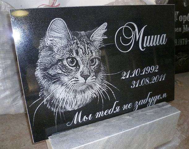 post-1026-0-60270200-1351869081_thumb.jp