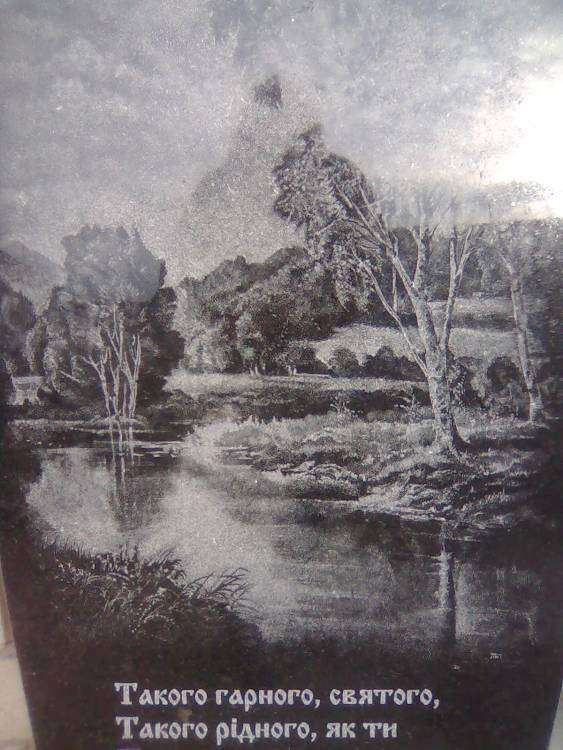 post-2714-0-04099000-1353954042_thumb.jp