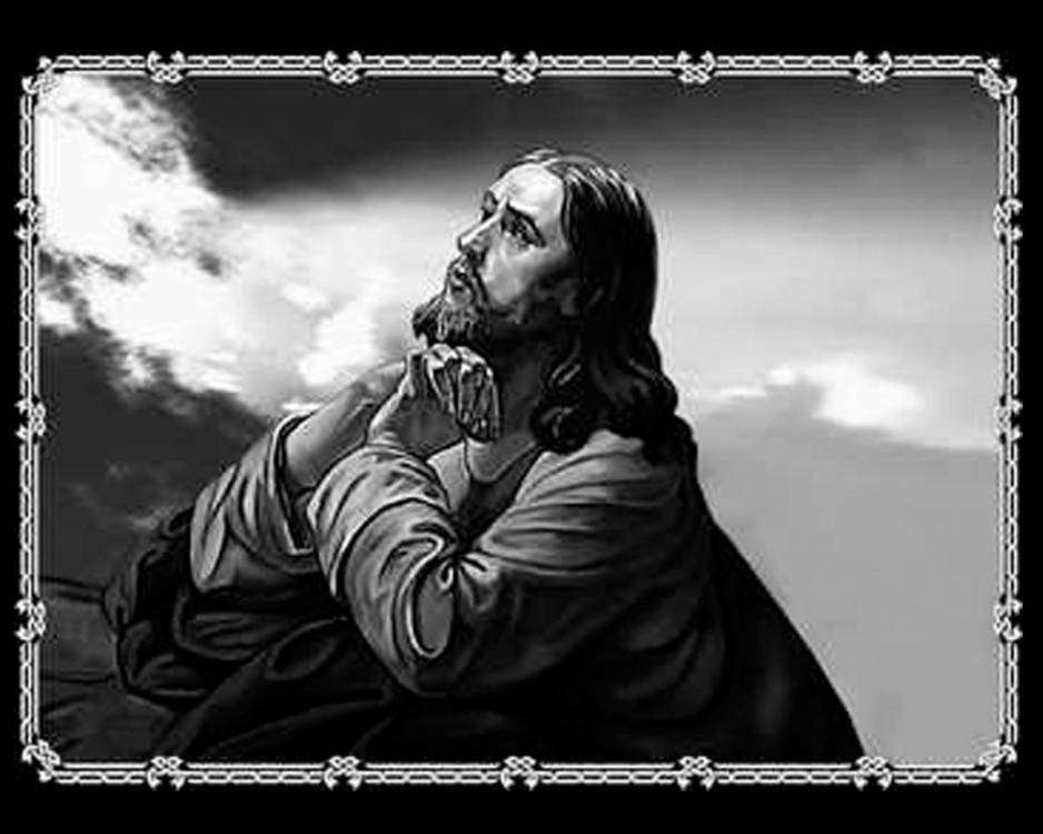 post-7006-0-83354600-1353839199_thumb.jp