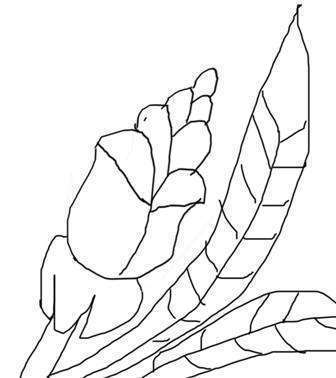 post-7784-0-62931500-1352890342_thumb.jp