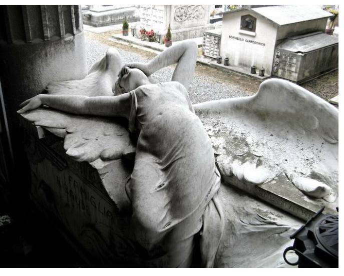 post-10511-0-28188700-1385247708_thumb.j