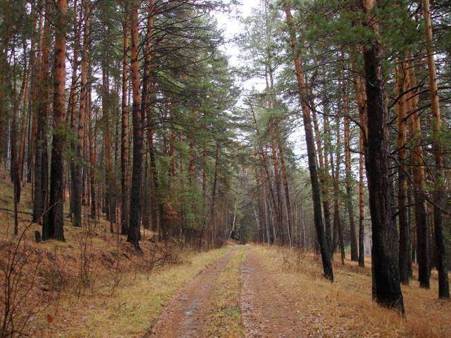 post-3969-0-04424400-1383305822_thumb.jp