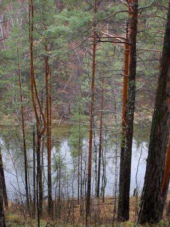 post-3969-0-05387000-1383305866_thumb.jp