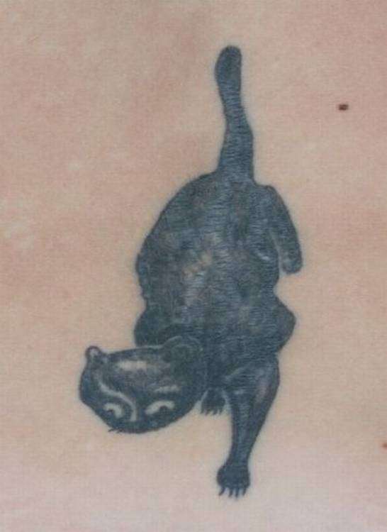 post-3969-0-41129600-1385519350_thumb.jp