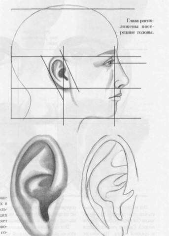 post-9290-0-74920100-1384156097_thumb.jp