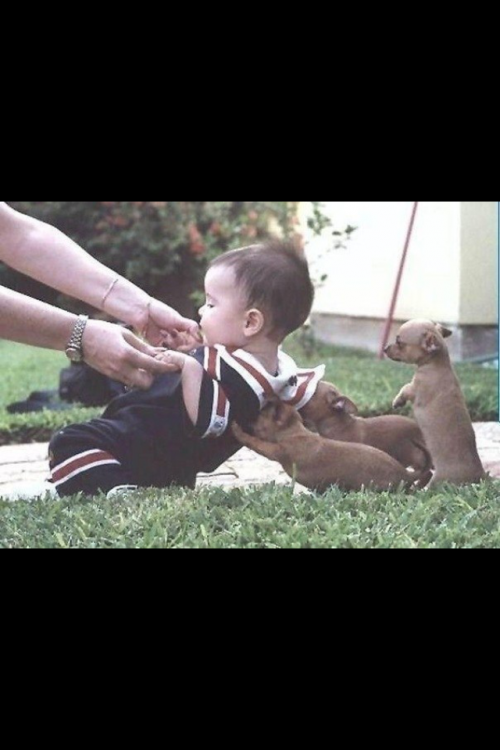 post-10535-0-91086000-1448003390_thumb.p