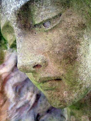 post-10809-0-70620400-1448040518_thumb.j