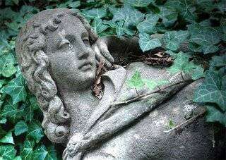 post-10809-0-80624100-1448040680_thumb.j