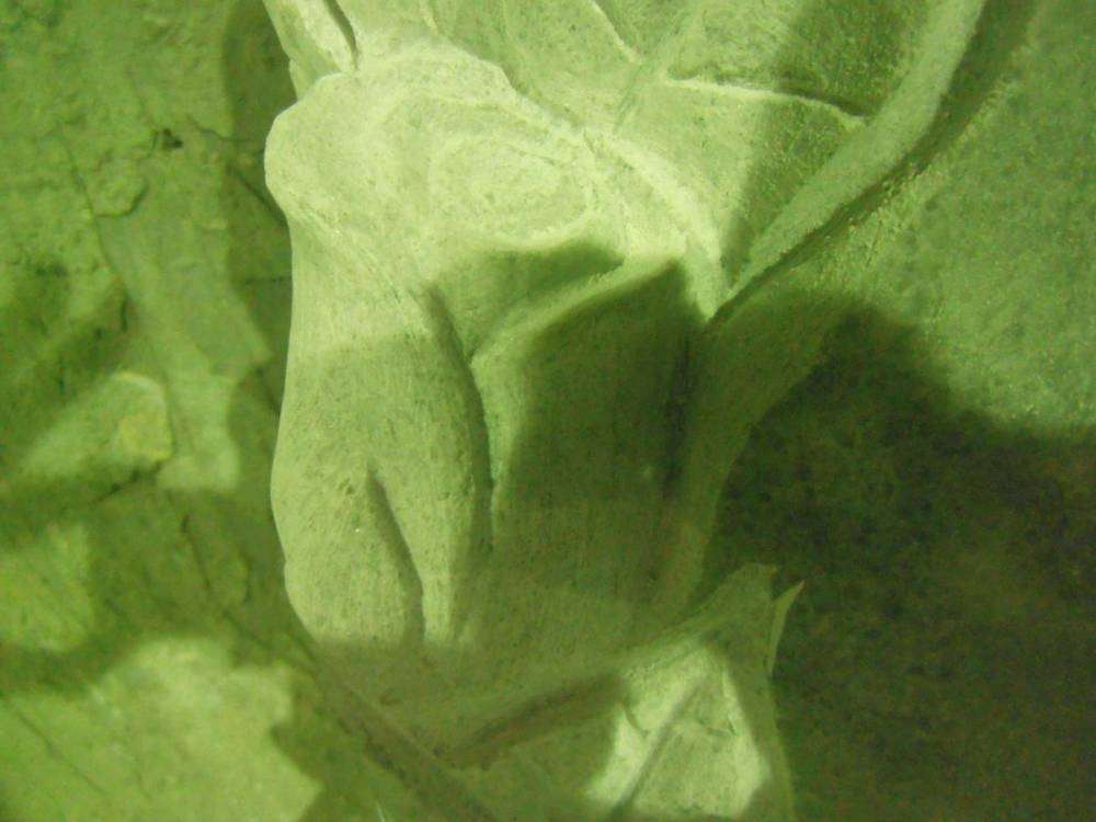 post-12759-0-37284000-1448111007_thumb.j