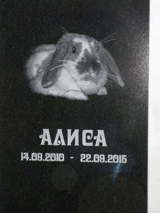 post-13750-0-50262100-1448370069_thumb.j