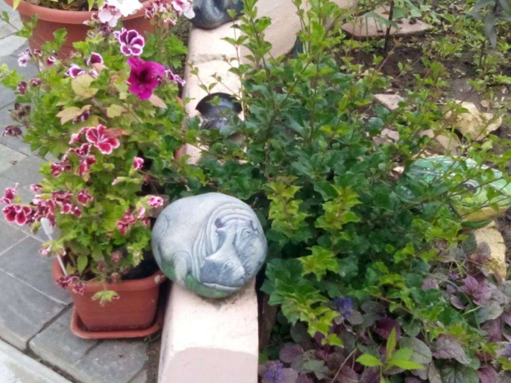 post-15358-0-20894300-1446412241_thumb.j