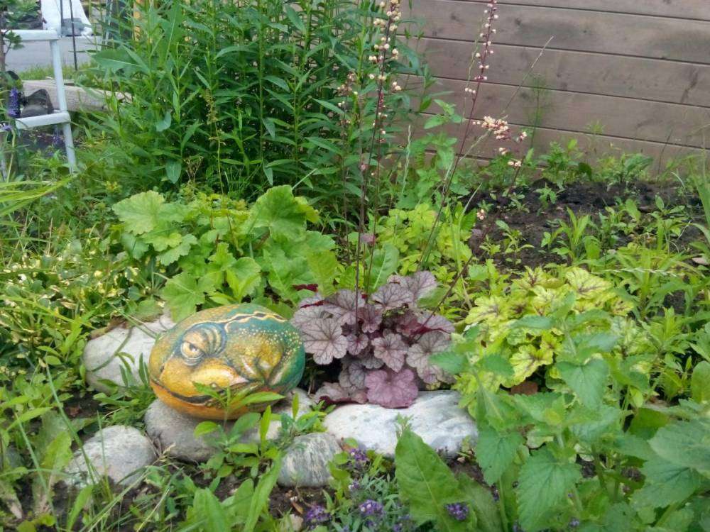 post-15358-0-43972000-1446412587_thumb.j