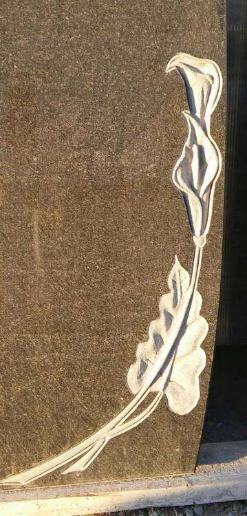 post-15417-0-34576800-1446406285_thumb.j