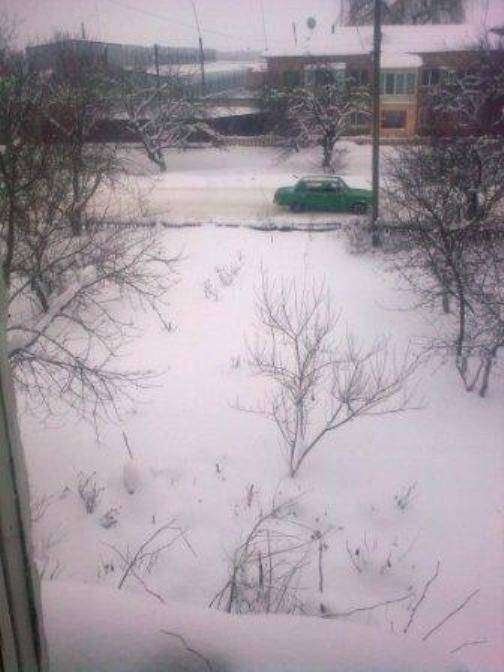 post-1229-0-34708300-1355140091_thumb.jp