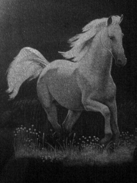 post-8372-0-51956700-1354534756_thumb.jp