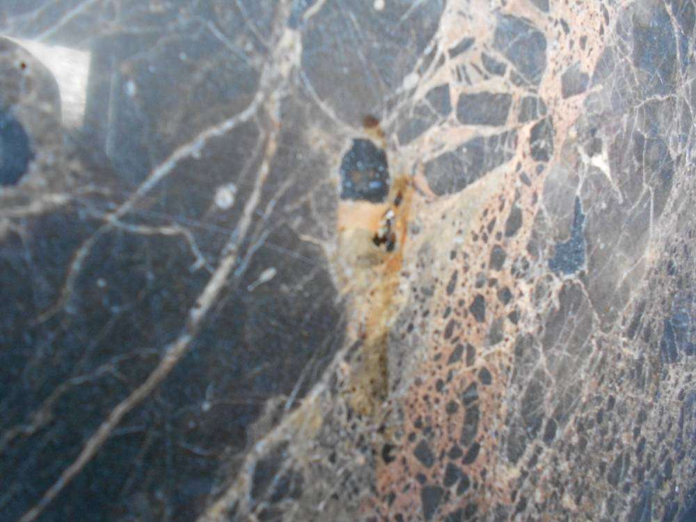 post-10120-0-14367000-1386574158_thumb.j