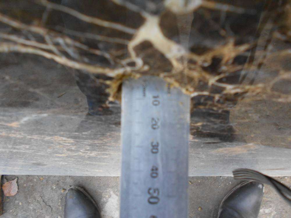 post-10120-0-76391800-1386574302_thumb.j